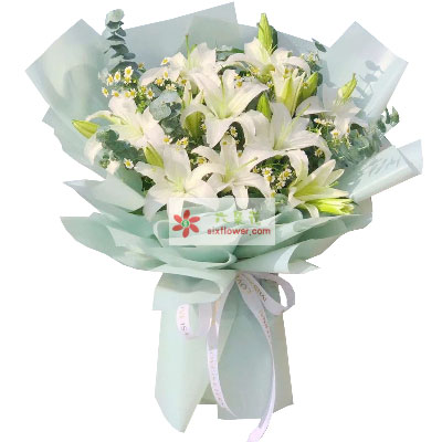 伊犁6支白色多头百合，温馨的祝福