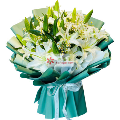 伊犁8支白色多头百合洋甘菊，如潮的思念